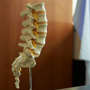 lumbar-spine